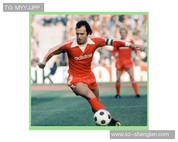 足球球星全方位解析平台:深入了解每位传奇球员的职业生涯与成就